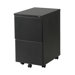 Gordon-2F Metal File Cabinet