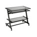 Z Wide Computer Cart in Aluminum