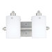 Vanity Light in Empire Silver
