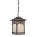 Ethan One Light Outdoor Hanging Wall Lantern in Imperial Bronze