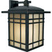 Hillcrest 17.5" Outdoor Wall Lantern in Imperial Bronze
