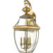 29" Newbury Outdoor  Wall Lantern in Polished Brass