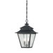 Carson 2 Light Outdoor Wall Lantern