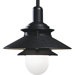 1 Light Cord-Hang Pendant