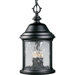 Ashmore Old World Style Black Cast Hanging Outdoor Lantern