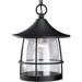 Gilded Iron Prairie  Outdoor Hanging Lantern with Wire Frames