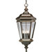 Crawford Outdoor Hanging Lantern in Oil Rubbed Bronze