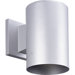 5" Gray  Incandescent Cylinder Outdoor Wall Lantern