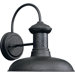 Brookside Gilded Iron  Outdoor Wall Lantern 10" x 10.75"