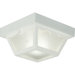 Weather Resistant  Outdoor Flush Mount in White