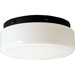 9" Acrylic Contoured Cloud Flush Mount