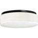 White Acrylic Contoured Ceiling Cloud