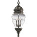 Anderson Outdoor Hanging Lantern in Antique Bronze