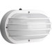  Oval Outdoor Wall Sconce in White - Energy Star