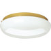 Melon Two Light Close-To-Ceiling Flush Mount