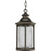 Reside 1 Light Outdoor Hanging Lantern