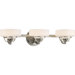 3 Light Bath Vanity Light