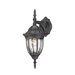 Westchester One Light Outdoor Down Wall Lantern in Black