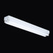 96" 2 Light Linear Flush Mount