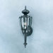 Park Avenue  Outdoor Wall Lantern in Black