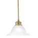 1 Light Pendant