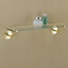 Glass Shelf with Brass Mounts and Rail