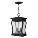 Richmond Two Light Outdoor Hanging Lantern