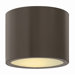 Luna One Light Outdoor Flush Mount