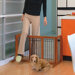 Freestanding Wooden Pet Gate in Autumn Matte Finish