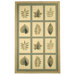 Chelsea Forest Ivory Novelty Rug