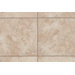 Primabella 3" x 12" Bullnose in Latte