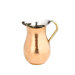 Hammered Water Pitcher with Brass Ice Guard and Handle