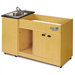 Kiddie Station 1 Stainless Steel Portable Hand-Washing Station with Changing Table