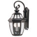 Endorado  Outdoor Wall Lantern in Black