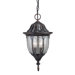 Tudor  Outdoor Hanging Lantern in Bark and Gold