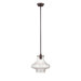 1 Light Pendant