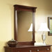 Palladia Mirror in Cherry