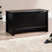 Shoal Creek Storage Chest