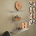 Dells Floating Shelf in Frosted Glass