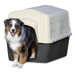 Dog Barn III Shelter