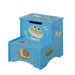 Froggy Step Stool with Storage