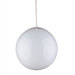 1 Light Globe Pendant