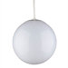 1 Light Globe Pendant