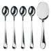 Windermere 5 Piece Ice Cream set