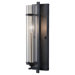 Ethan One Light Wall Sconce in Brushed Steel