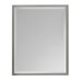 Halstad Mirror
