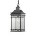 Liberty One Light Outdoor Hanging Lantern in Fog