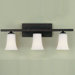 Boulevard  Vanity Light in Oil Rubbed Bronze