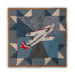 Airplane Toss Pillow