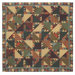 Sun Spirit Shower Curtain